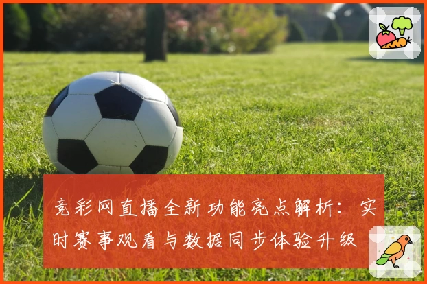 竞彩网直播全新功能亮点解析：实时赛事观看与数据同步体验升级